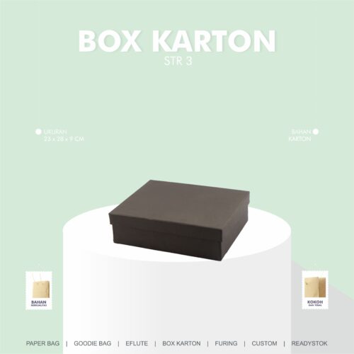 BOX KARTON STR 3